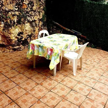 Flor Des Iles Du 47 * Fumel