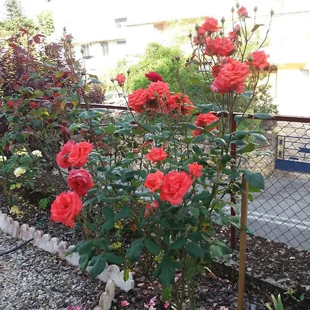 Διαμέρισμα Flor Des Iles Du 47