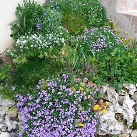 Διαμέρισμα Flor Des Iles Du 47 Fumel