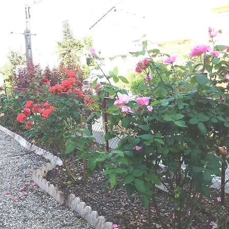 Flor Des Iles Du 47 Διαμέρισμα